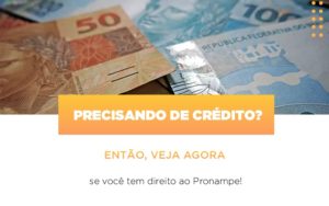 Precisando De Credito Entao Veja Se Voce Tem Direito Ao Pronampe - Contabilidade em São Paulo | Consultive