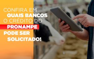 Confira Em Quais Bancos O Credito Pronampe Ja Pode Ser Solicitado - Contabilidade em São Paulo | Consultive