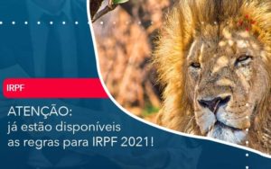 Ja Estao Disponiveis As Regras Para Irpf 2021 Organização Contábil Lawini - Contabilidade em São Paulo | Consultive