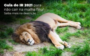 Guia Ir 2021 Para Nao Cair Na Malha Fina Saiba Mais Na Descricao Post 1 Organização Contábil Lawini - Contabilidade em São Paulo | Consultive