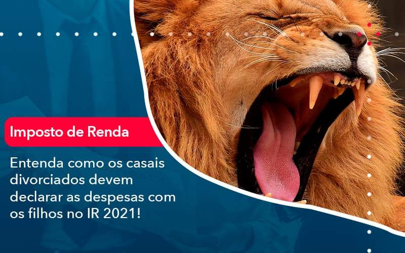 Entenda Como Os Casais Divorciados Devem Declarar As Despesas Com Os Filhos No Ir 2021 1 Organização Contábil Lawini - Contabilidade em São Paulo | Consultive