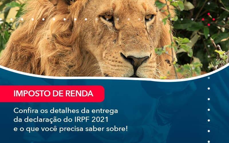 Confira Os Detalhes Da Entrega Da Declaracao Do Irpf 2021 E O Que Voce Precisa Saber Sobre 1 Organização Contábil Lawini - Contabilidade em São Paulo | Consultive