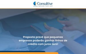 Proposta Prevê Que Pequenas Empresas Poderão Ganhar Linhas De Crédito Com Juros Zero Consultive - Contabilidade em São Paulo | Consultive
