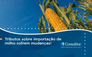 Tributos Sobre Importação De Milho Sofrem Mudanças! Consultive 2 - Contabilidade em São Paulo | Consultive
